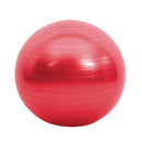 Bola Suíça 45cm Unissex