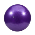 Bola Suíça 45cm Unissex
